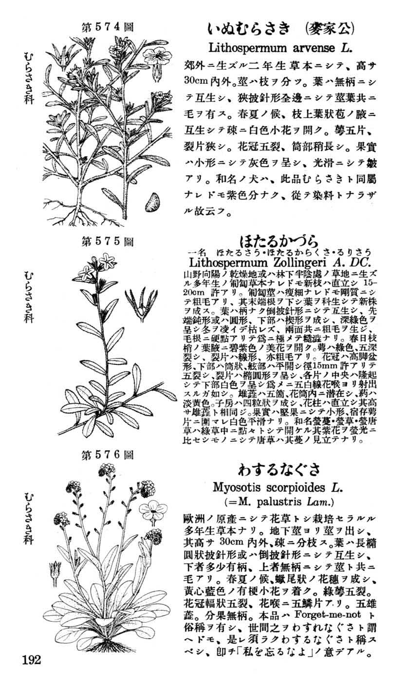 植物図鑑