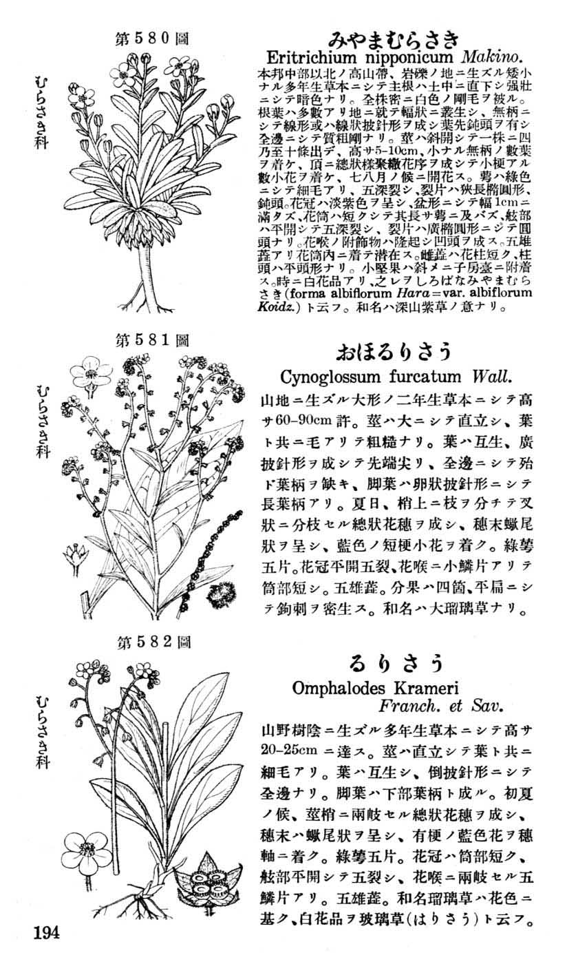 植物図鑑