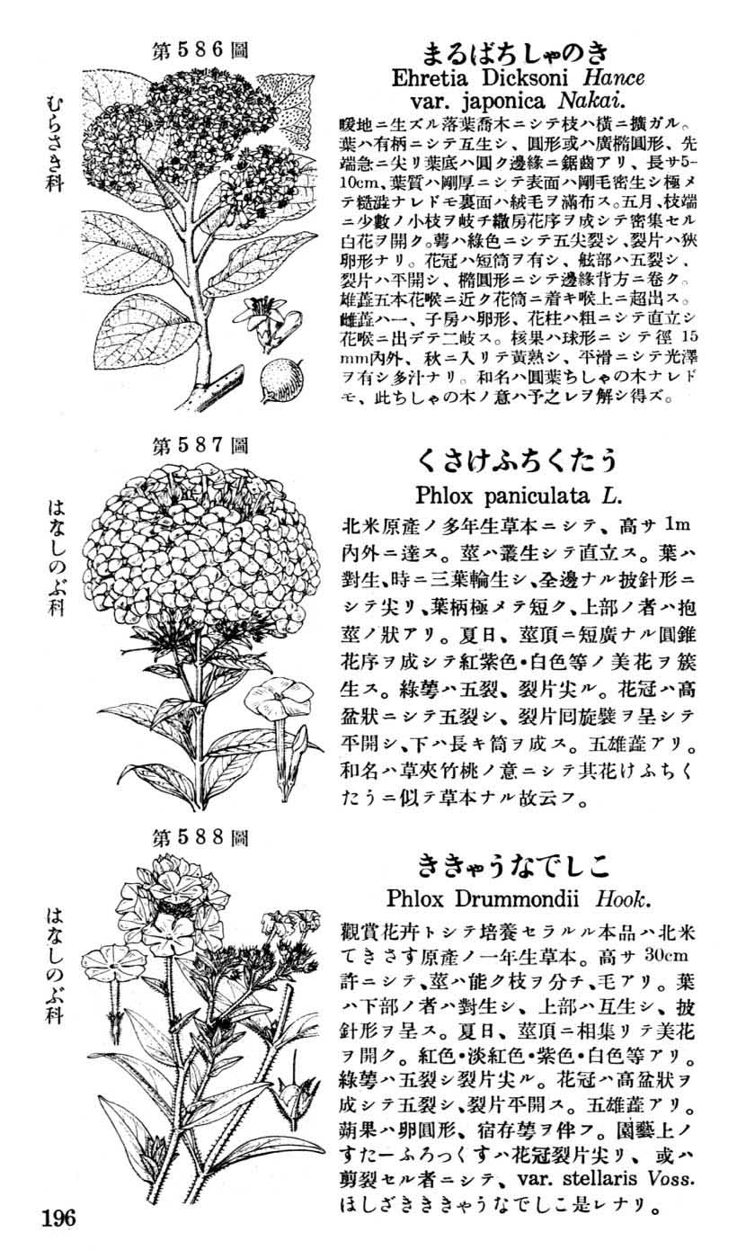 植物図鑑