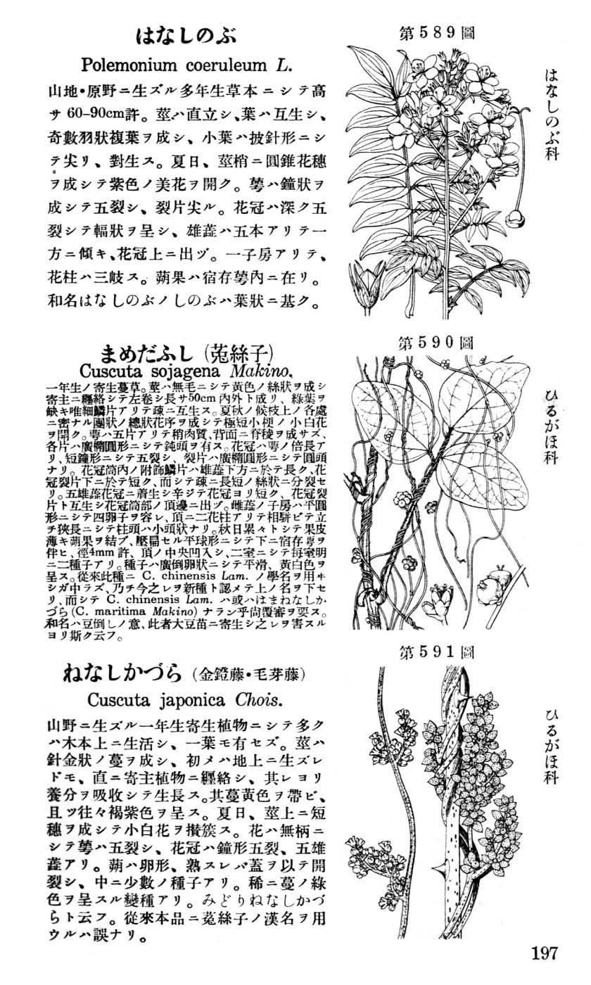 植物図鑑