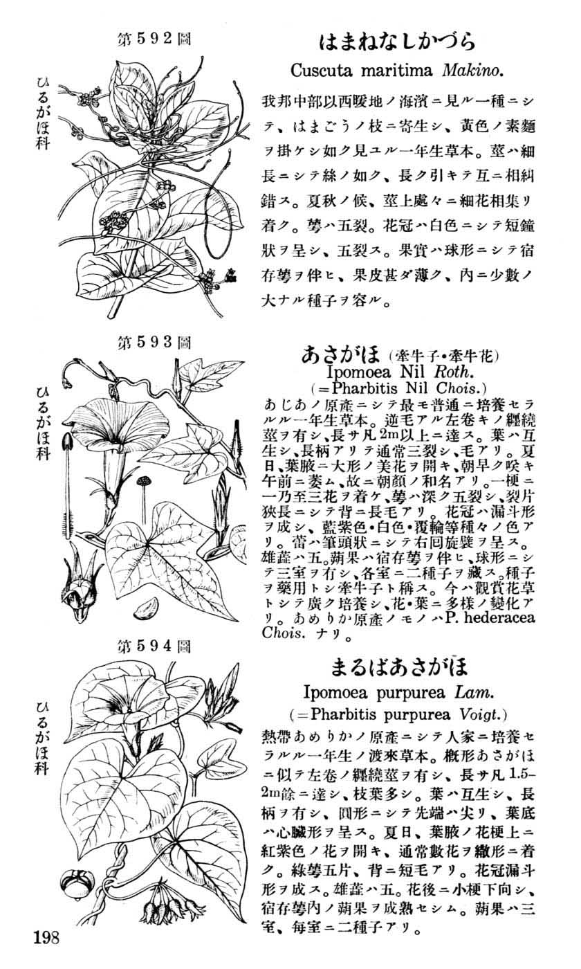 植物図鑑