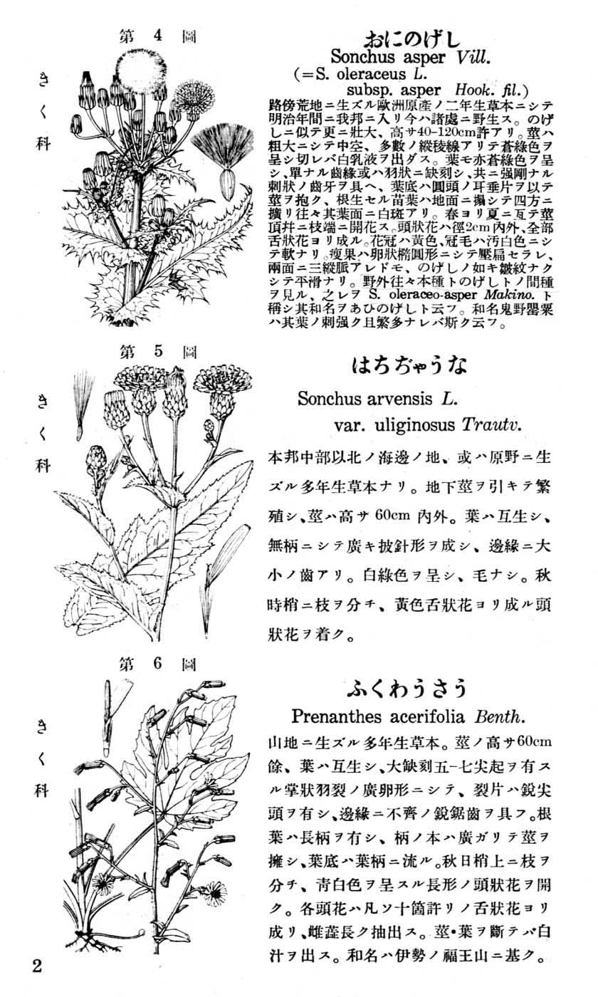 植物図鑑