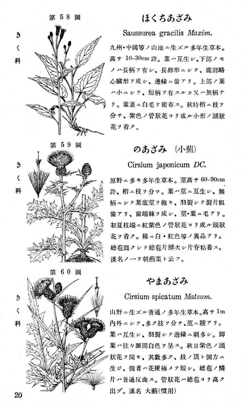 植物図鑑