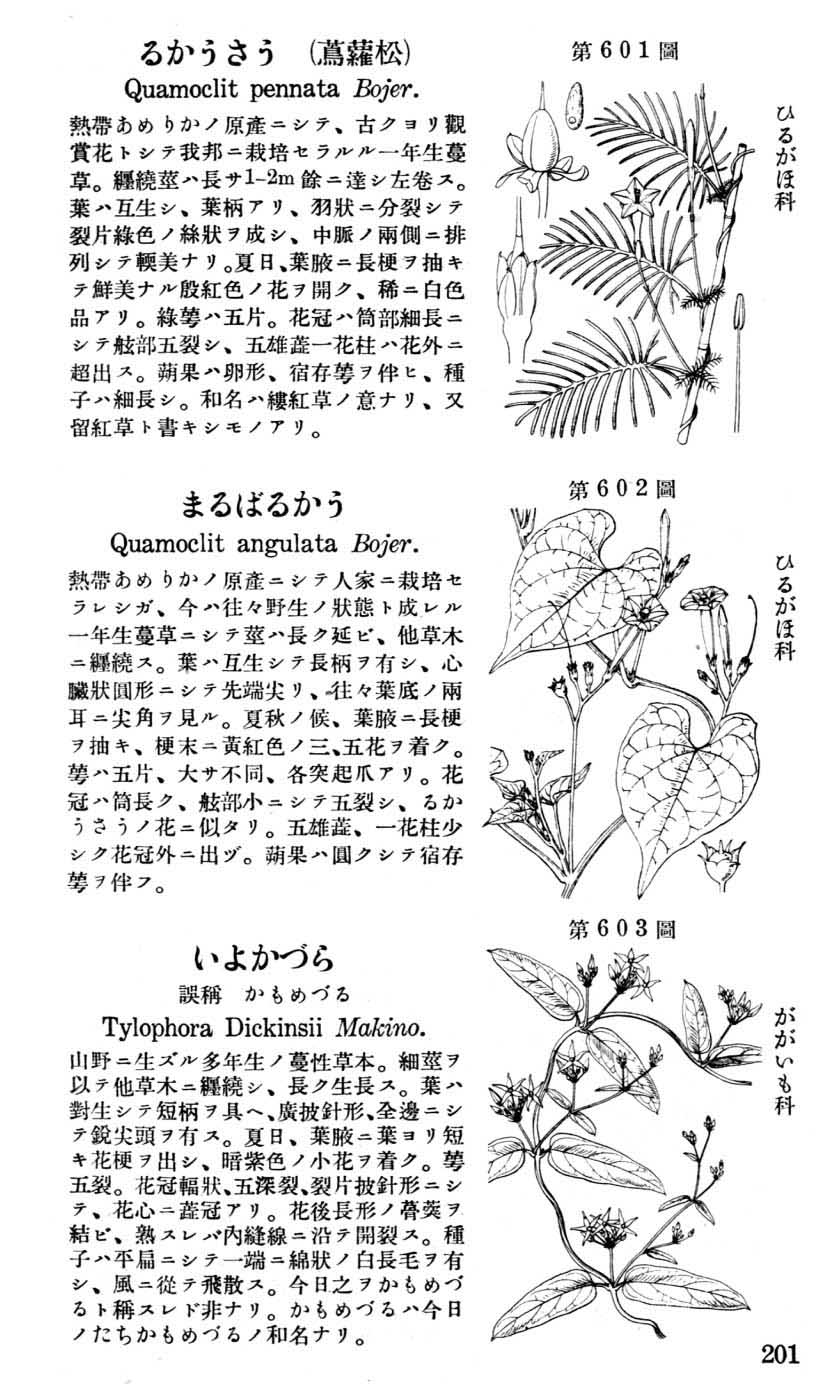 植物図鑑