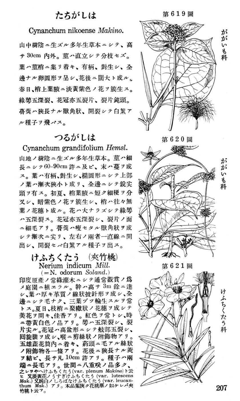 牧野日本植物図鑑（初版・増補版）インターネット版