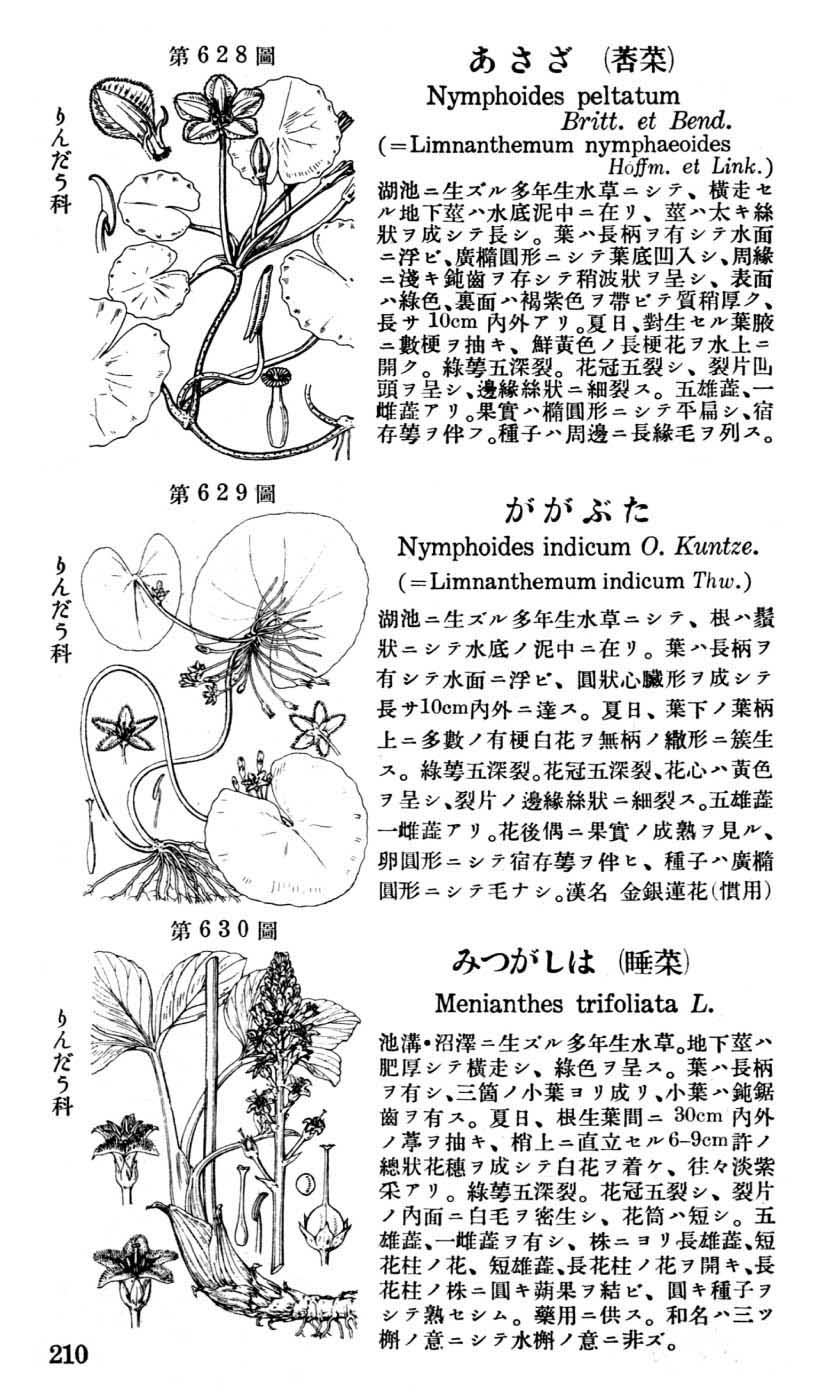 植物図鑑