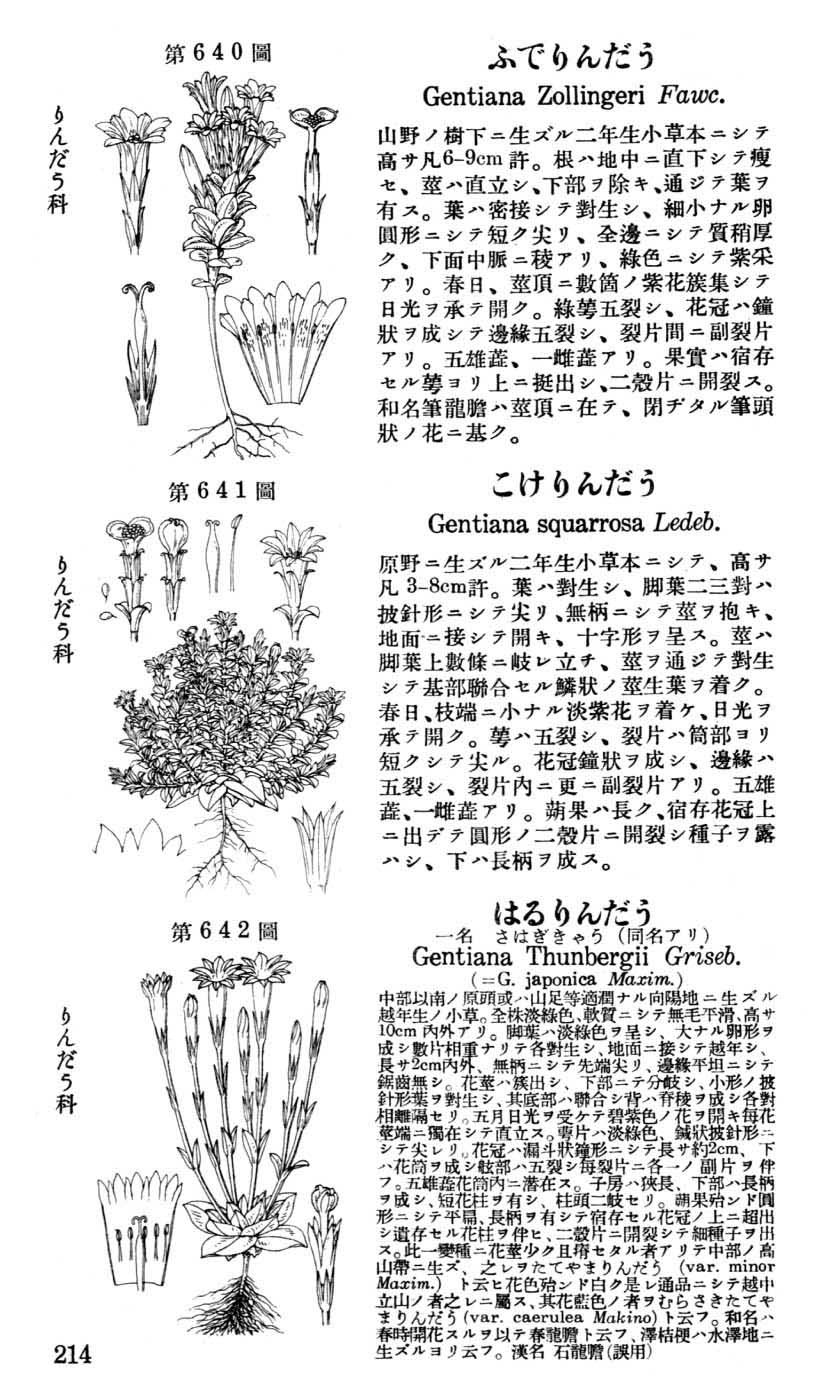 植物図鑑