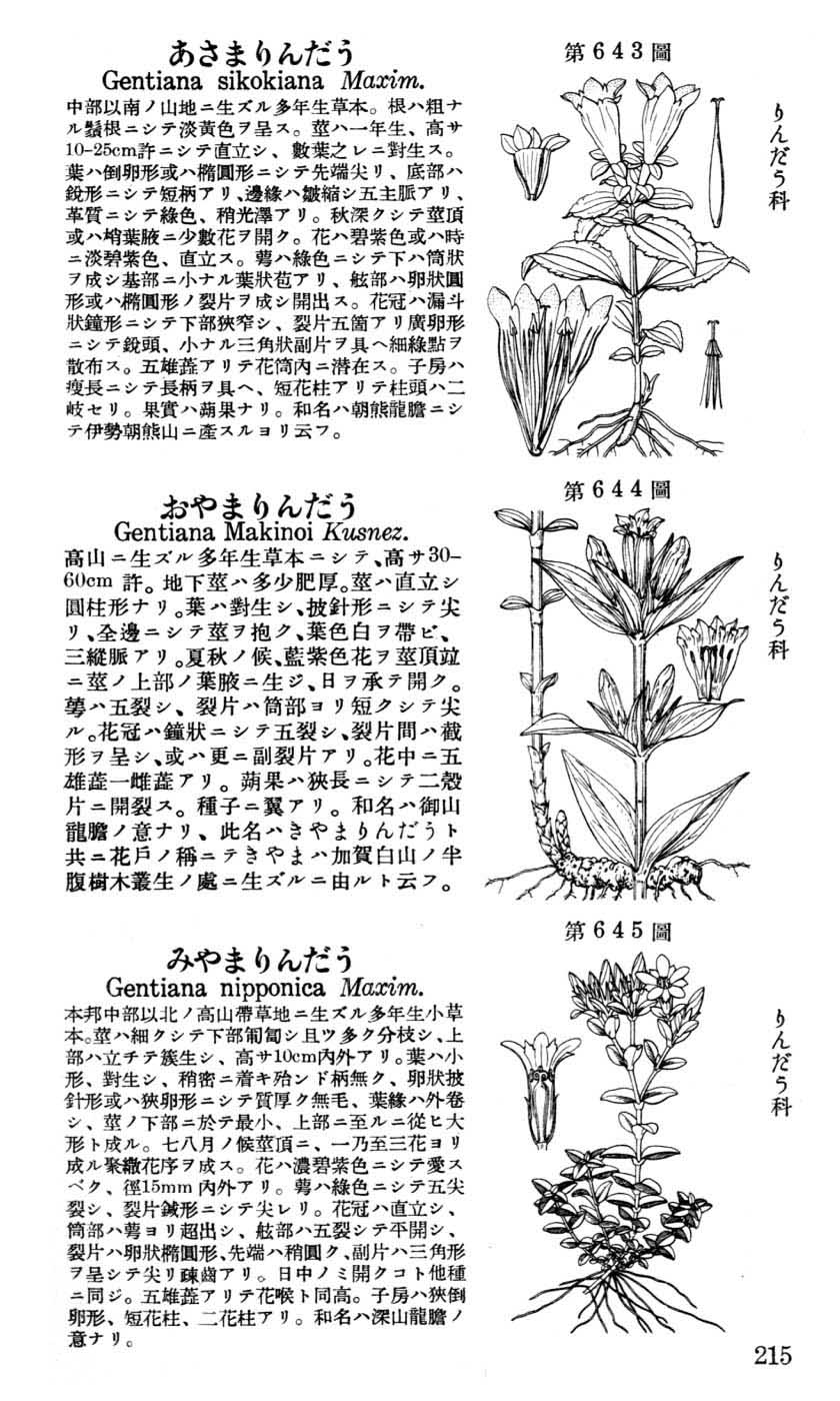 植物図鑑