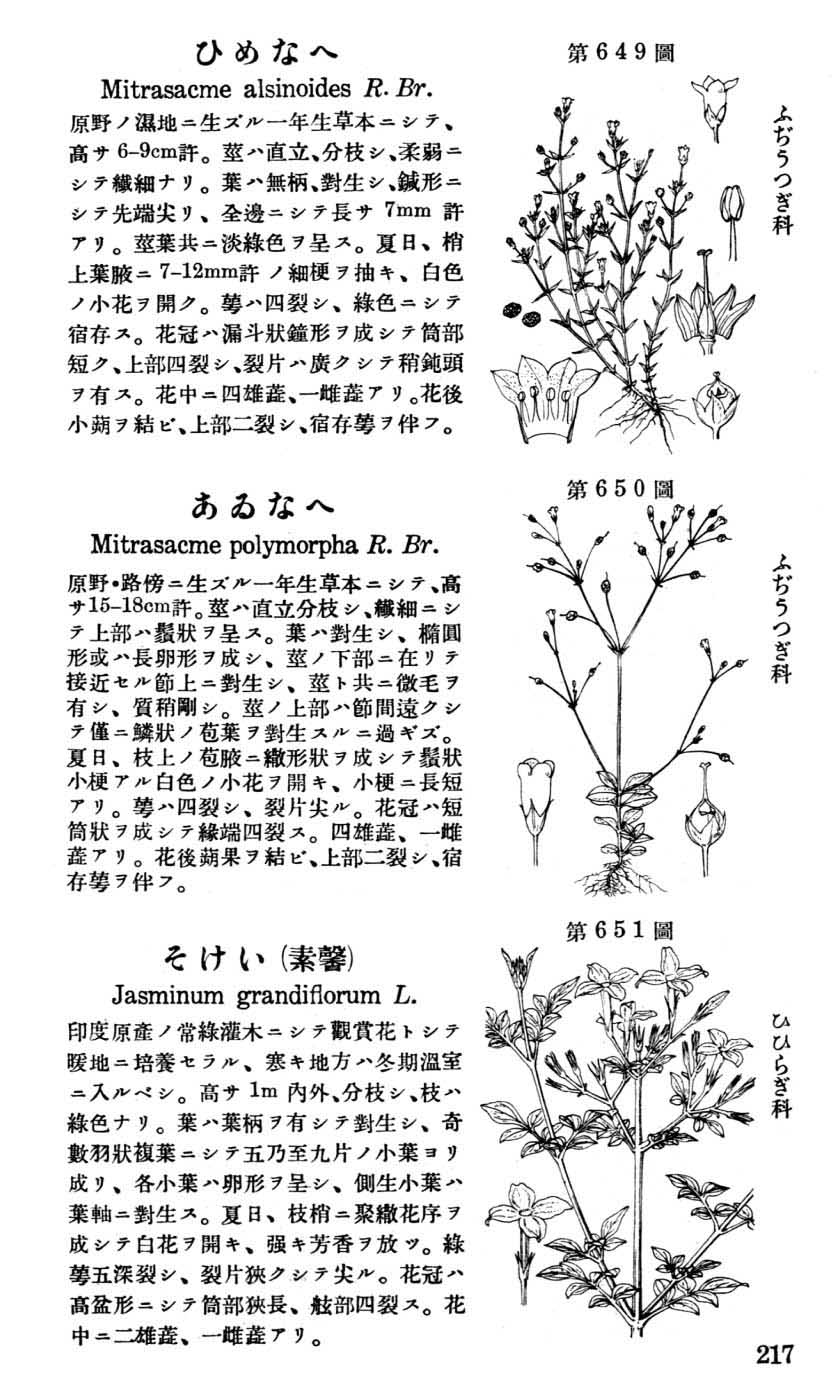 植物図鑑