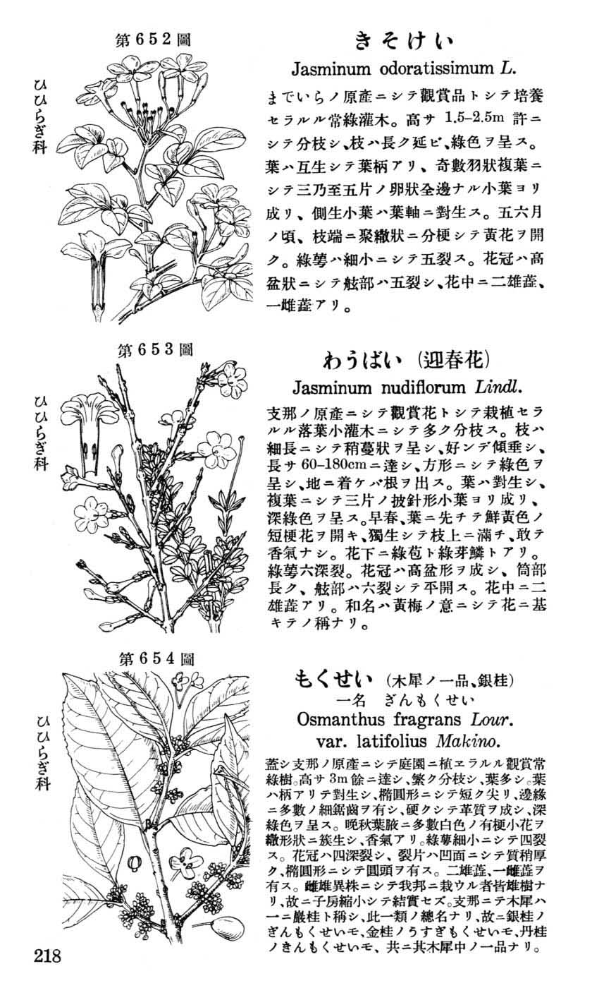 植物図鑑