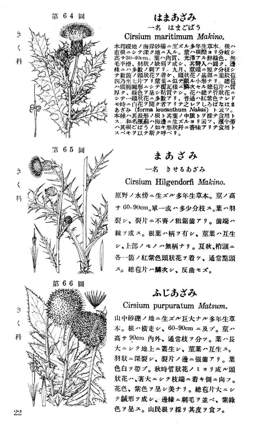 植物図鑑