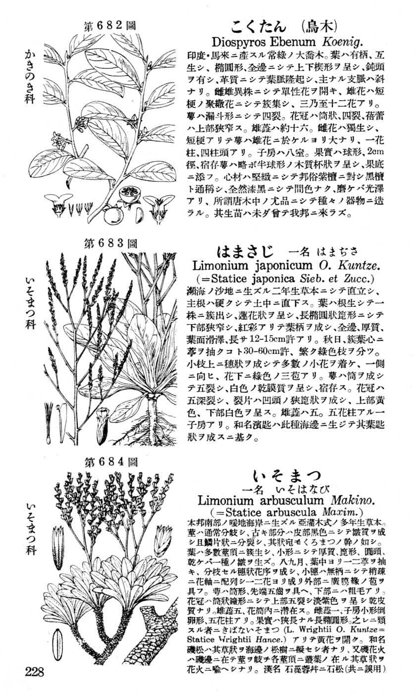 植物図鑑