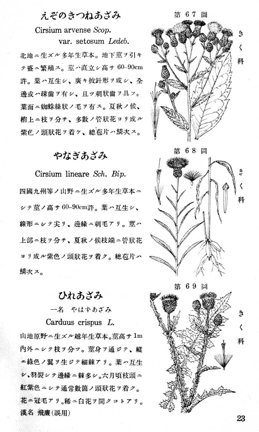 植物図鑑