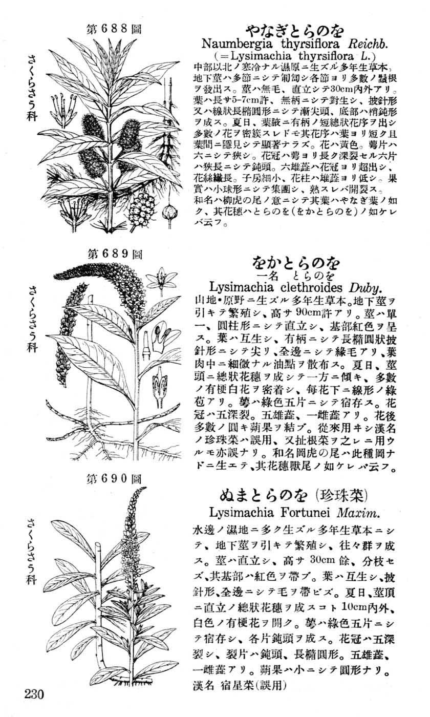 植物図鑑