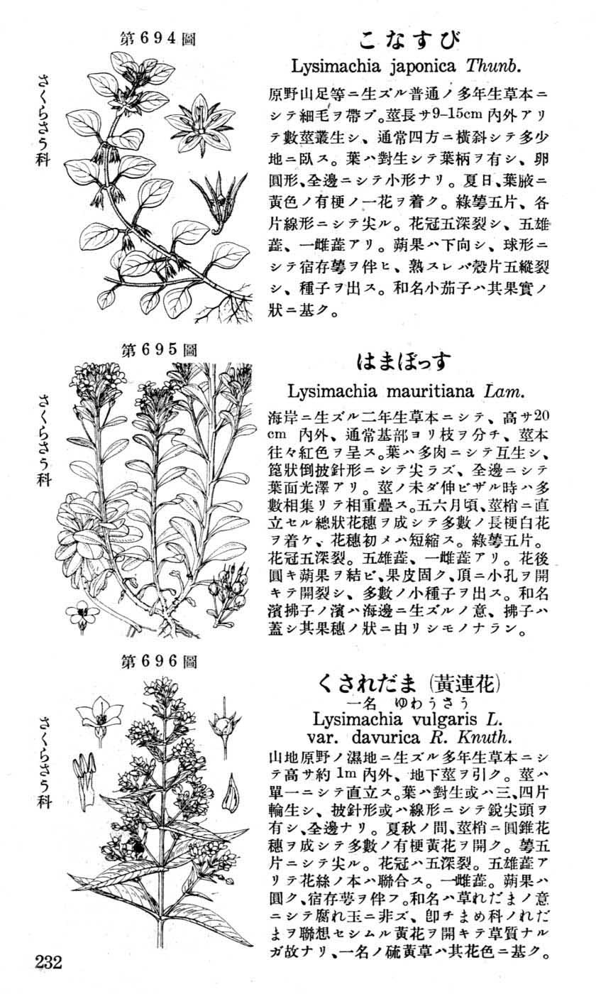 植物図鑑