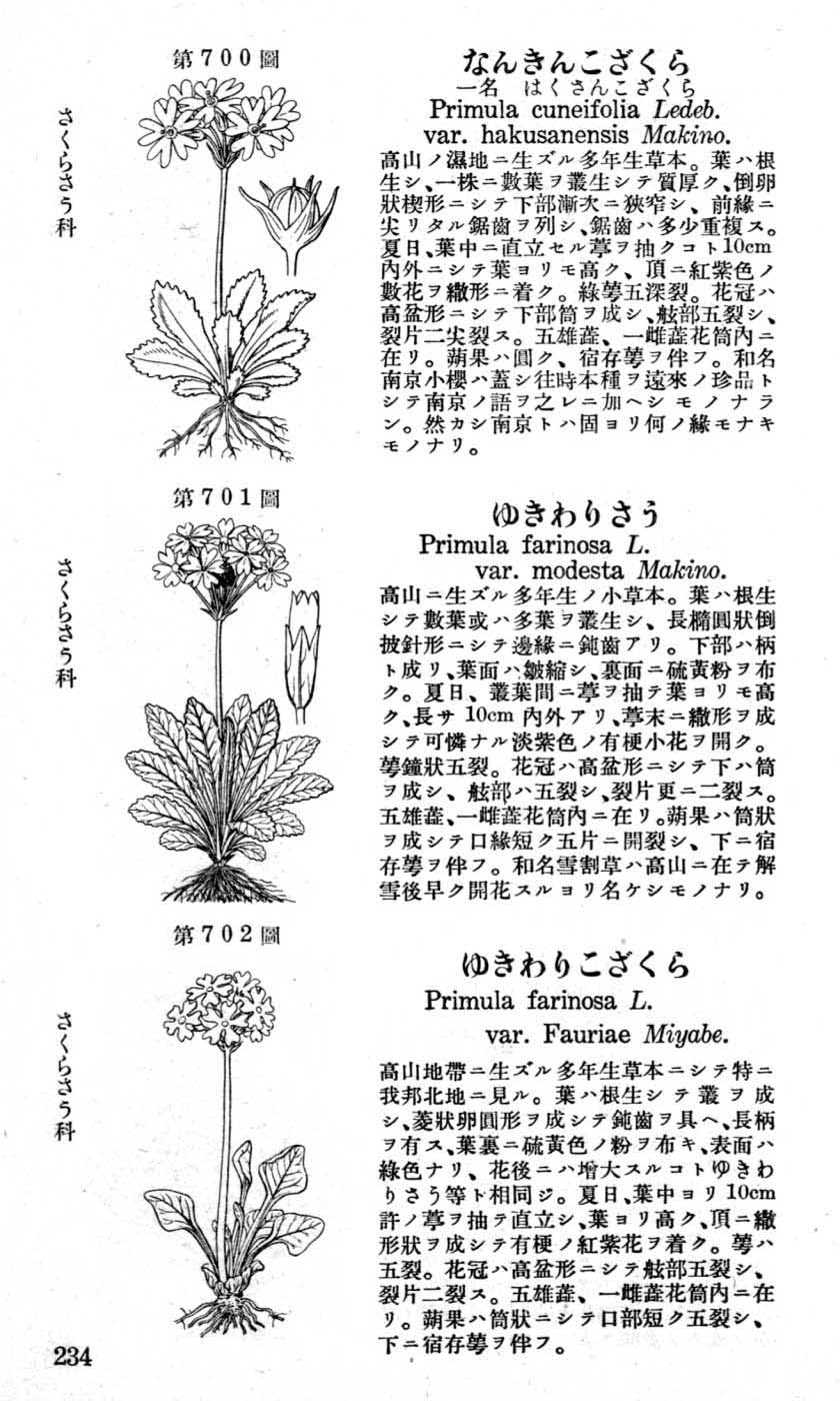 植物図鑑