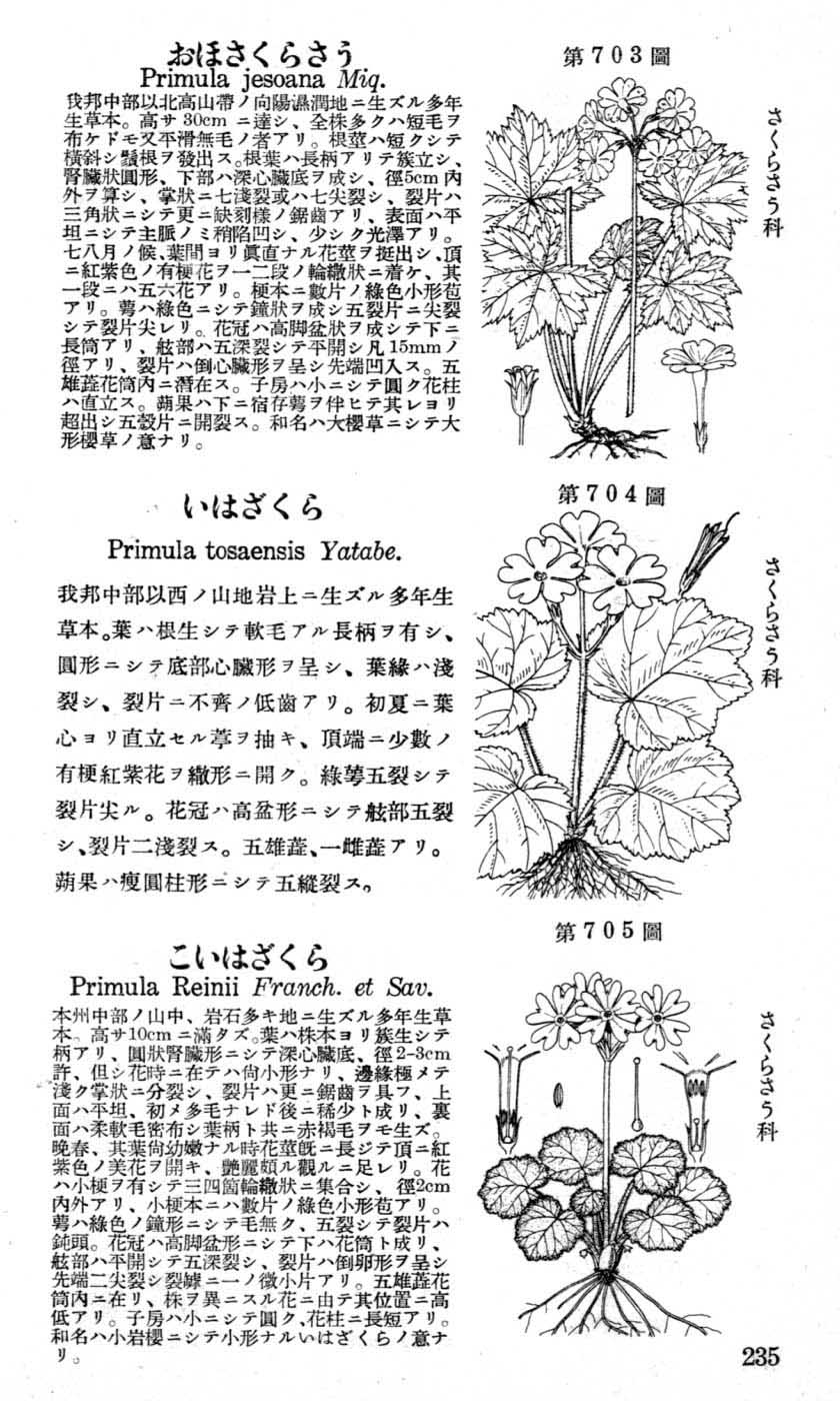 植物図鑑