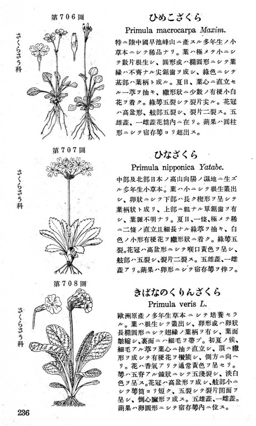 植物図鑑