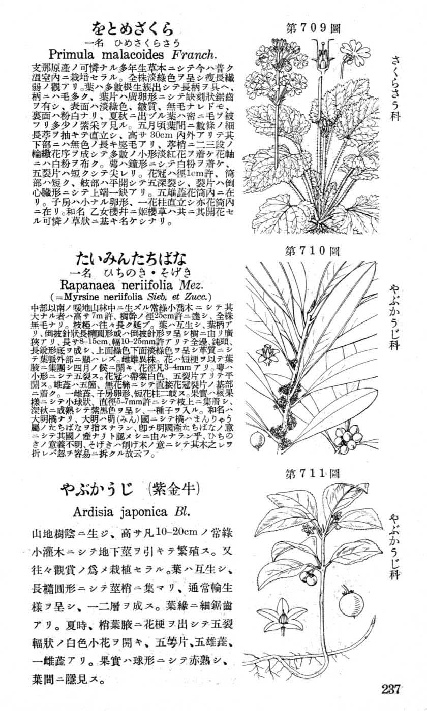 植物図鑑