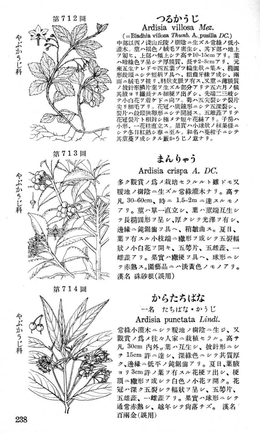 植物図鑑