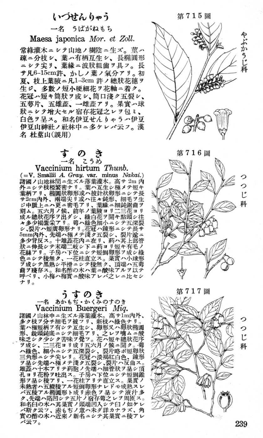 植物図鑑