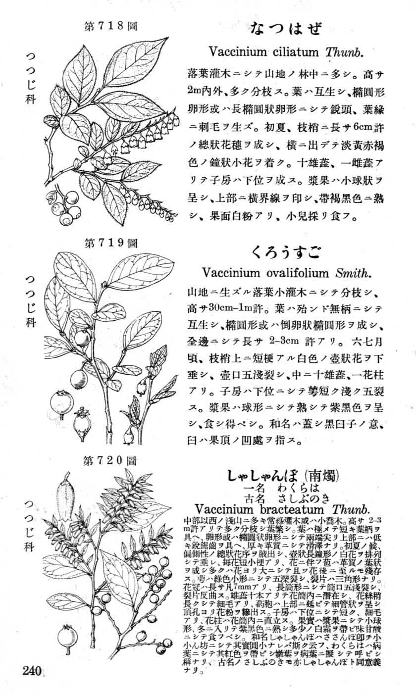 植物図鑑