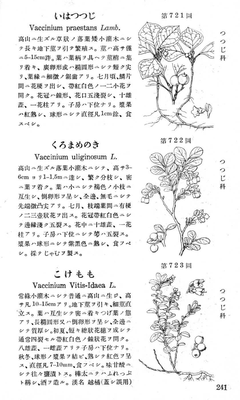 植物図鑑