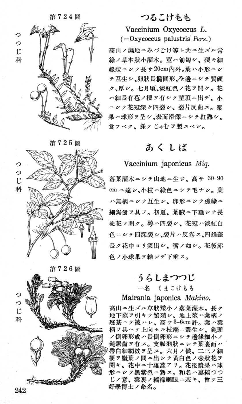 植物図鑑