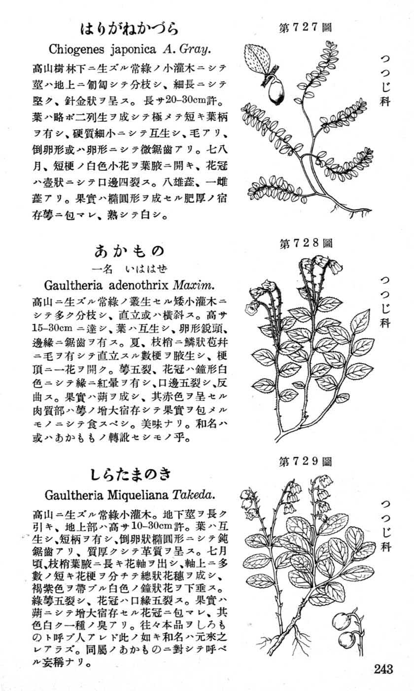 植物図鑑