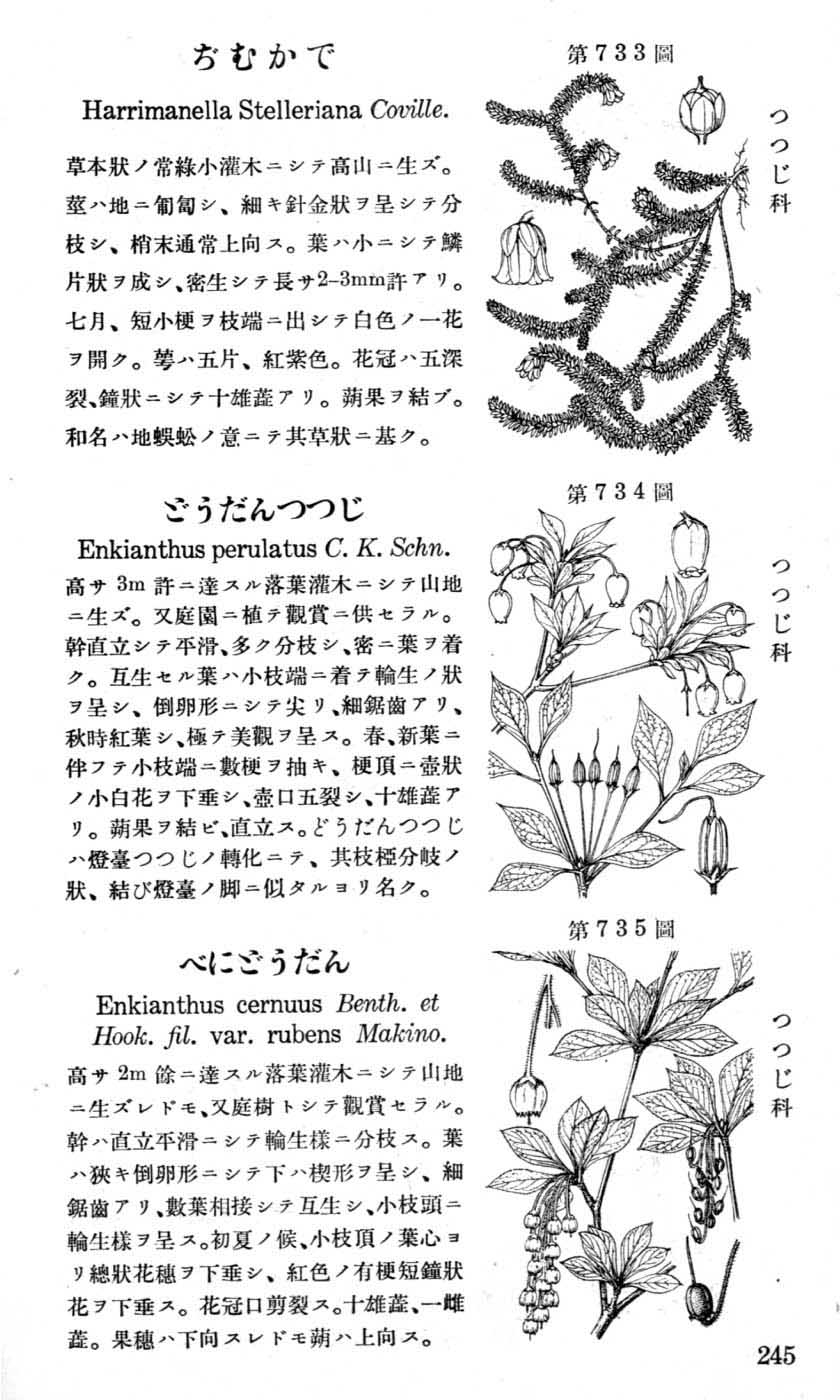 植物図鑑