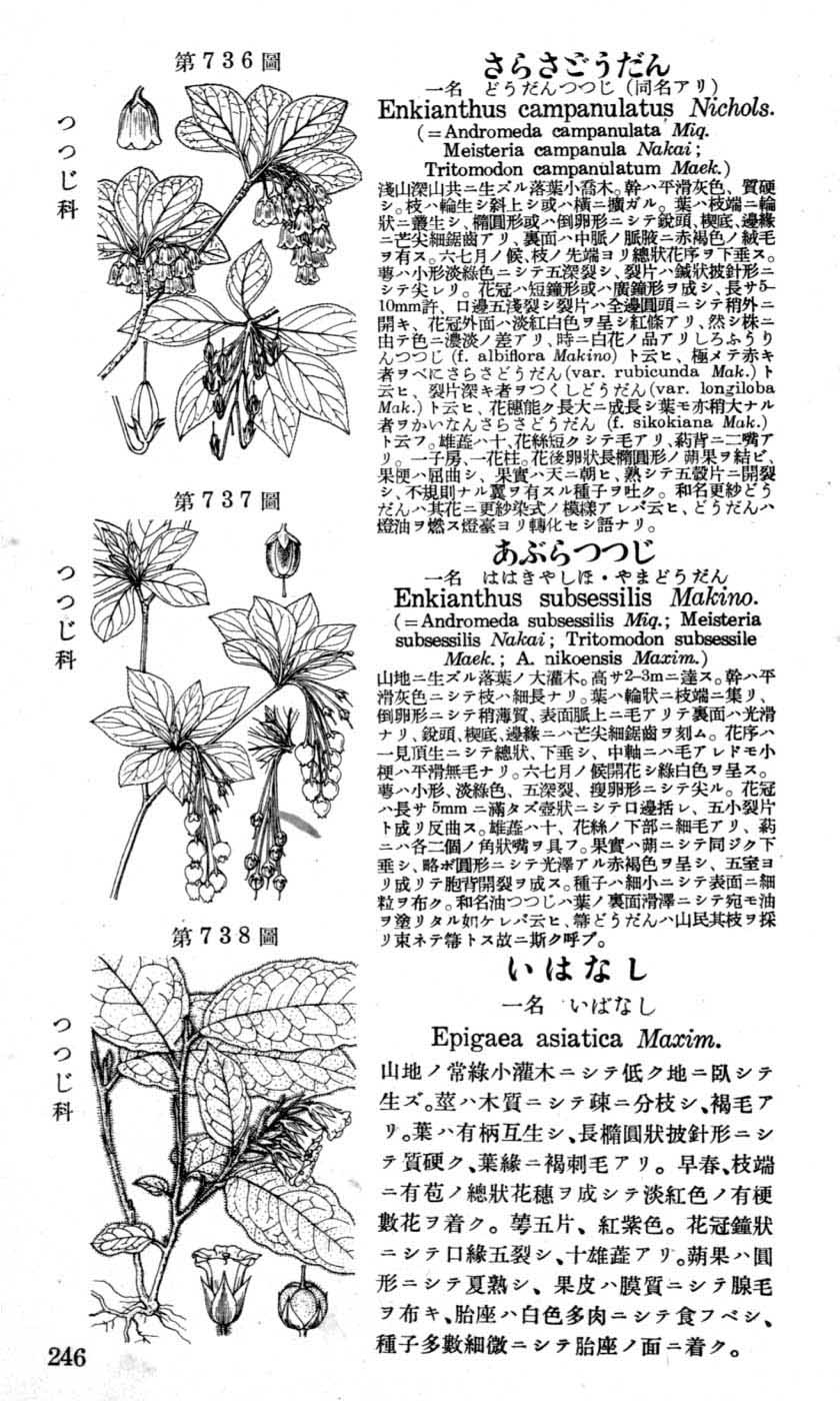 植物図鑑