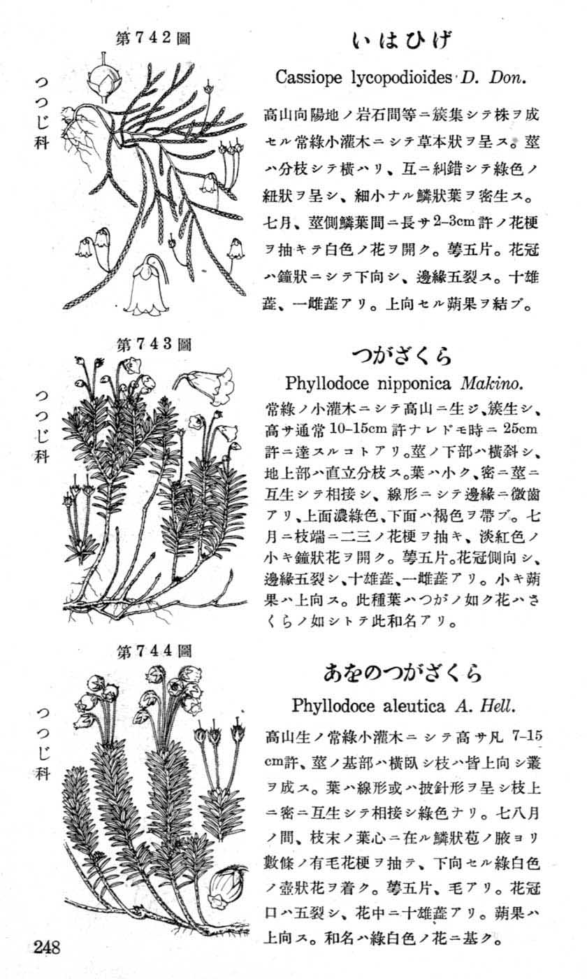 植物図鑑