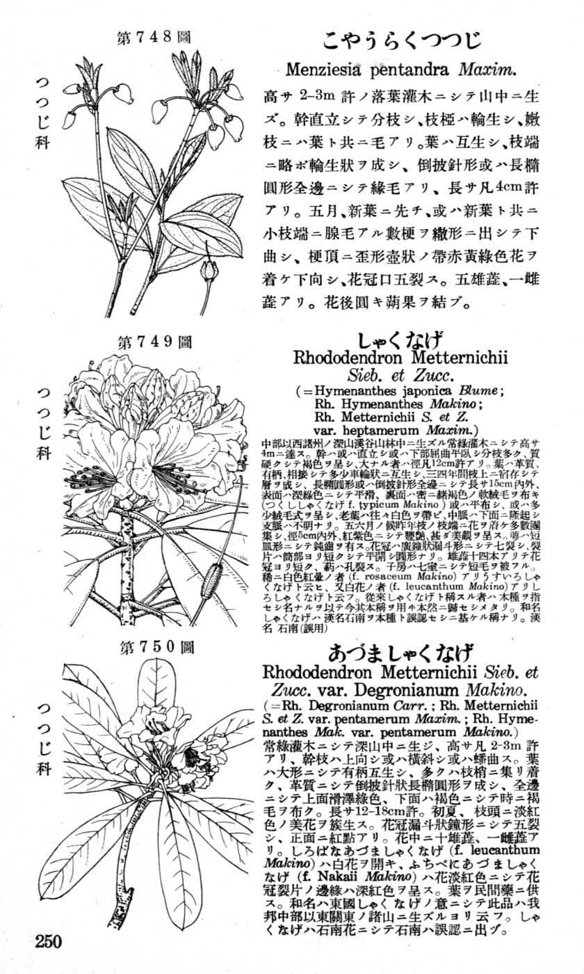 植物図鑑