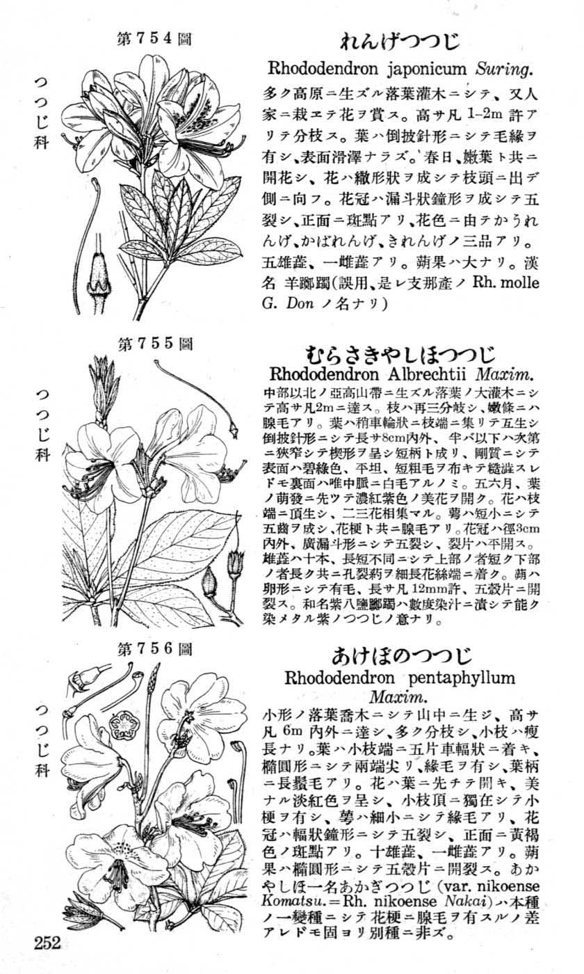 植物図鑑