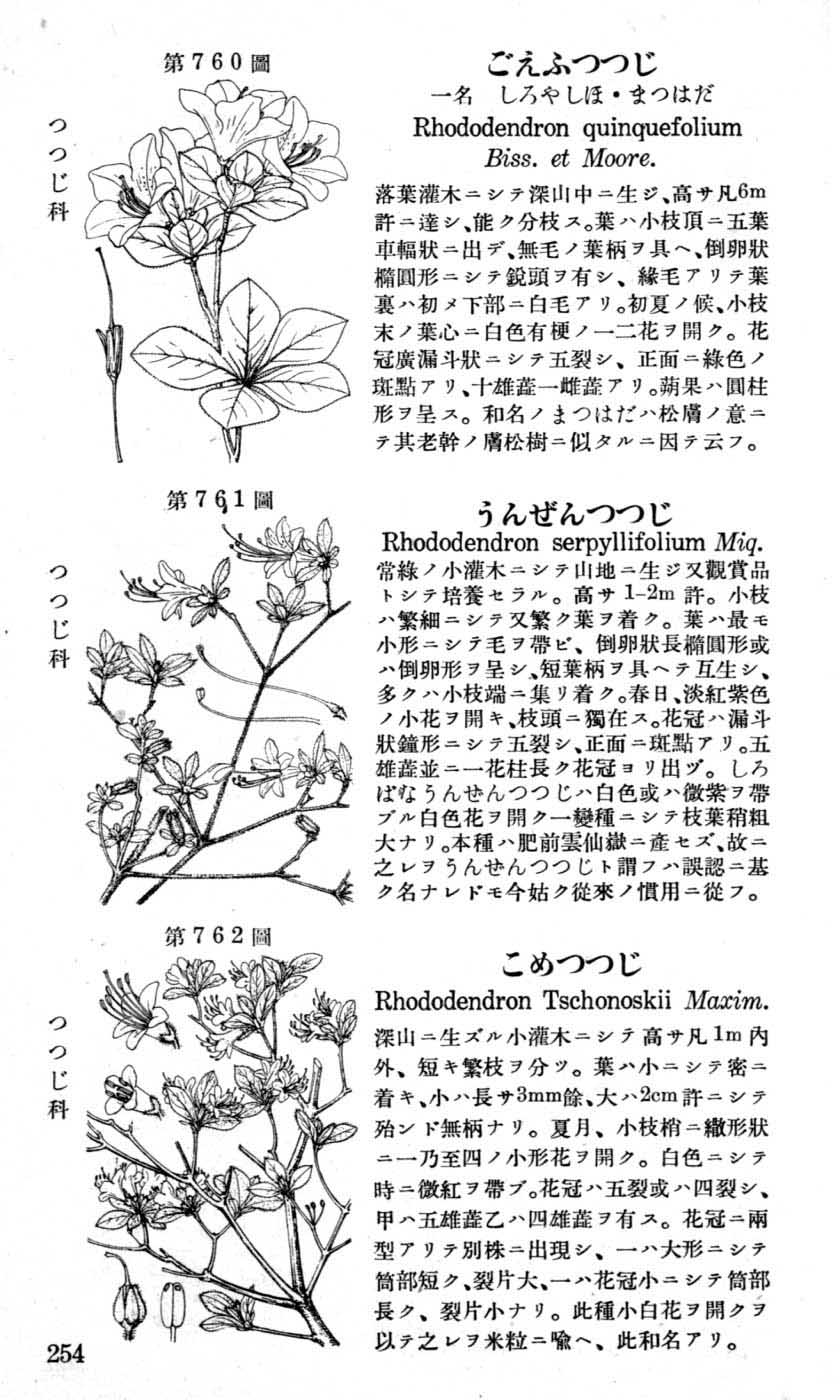 植物図鑑