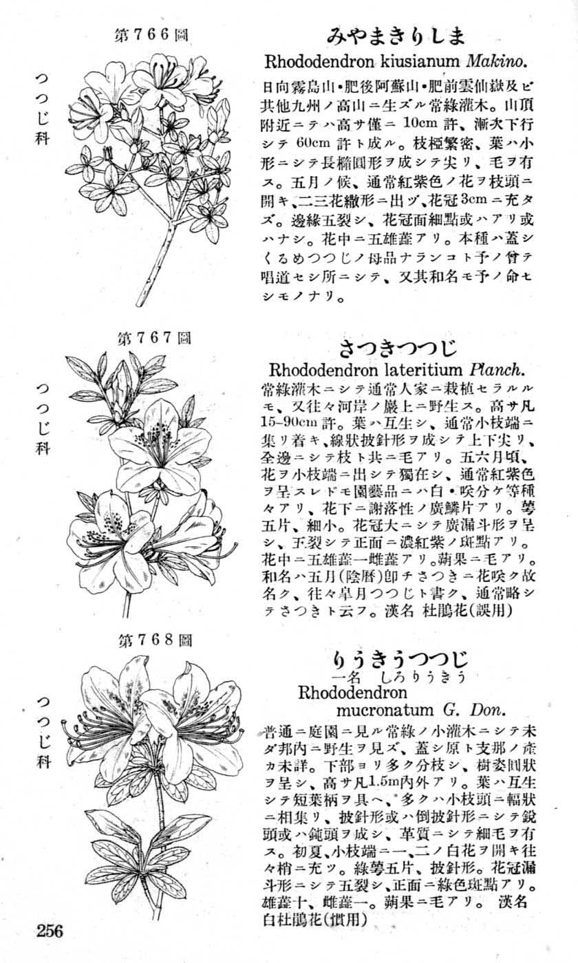 植物図鑑