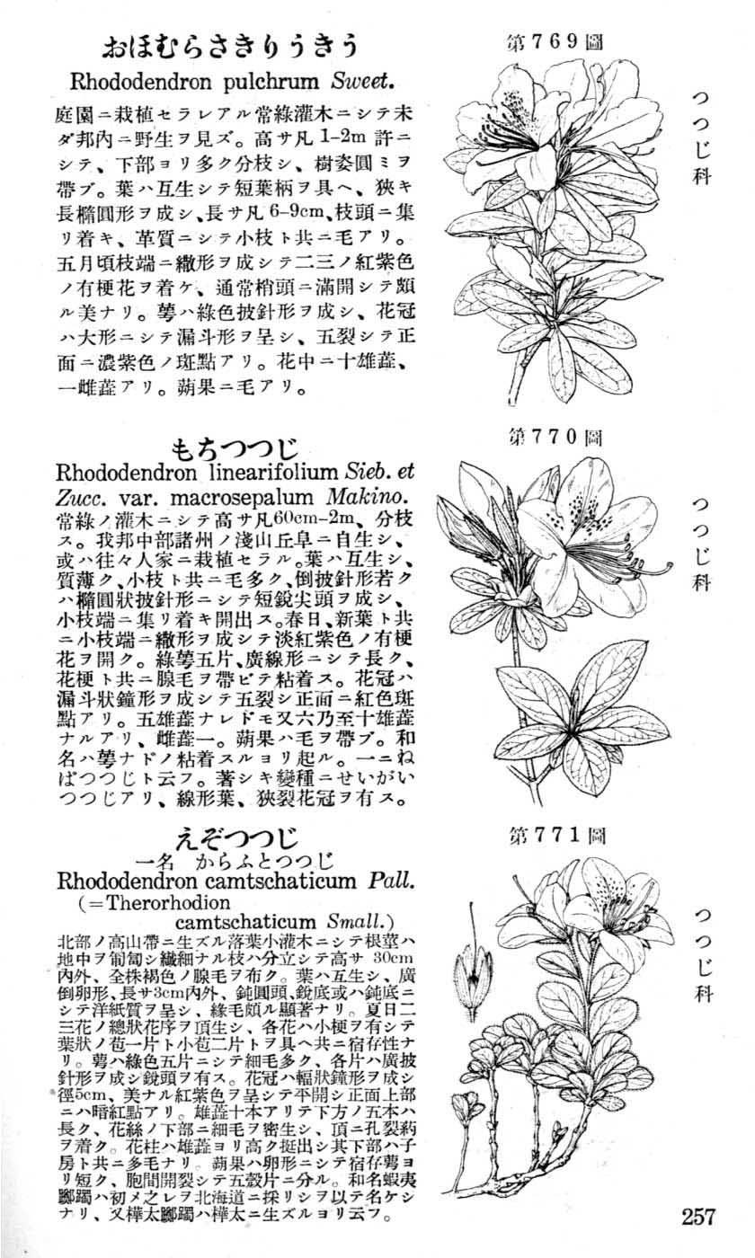 植物図鑑