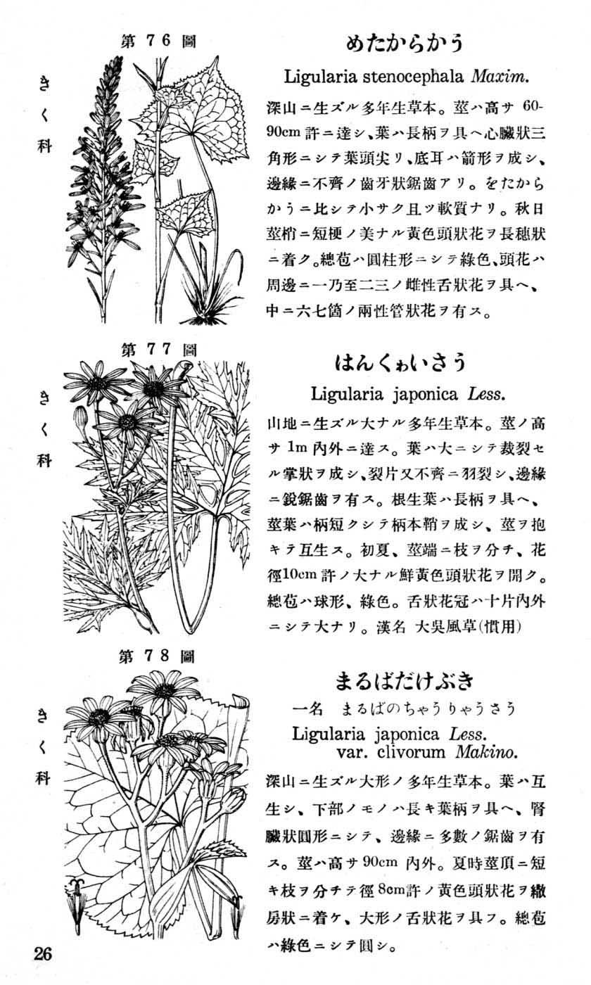 植物図鑑