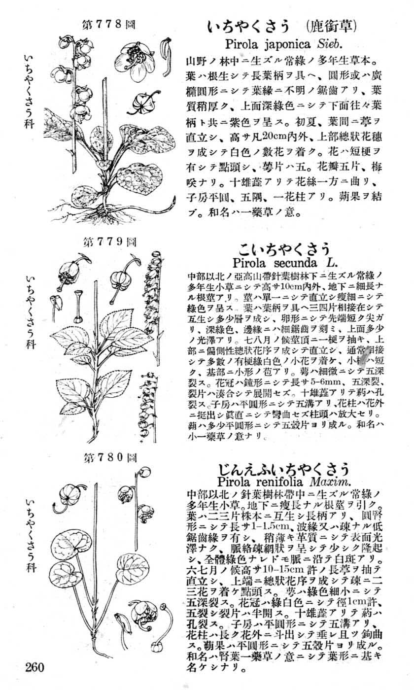 植物図鑑