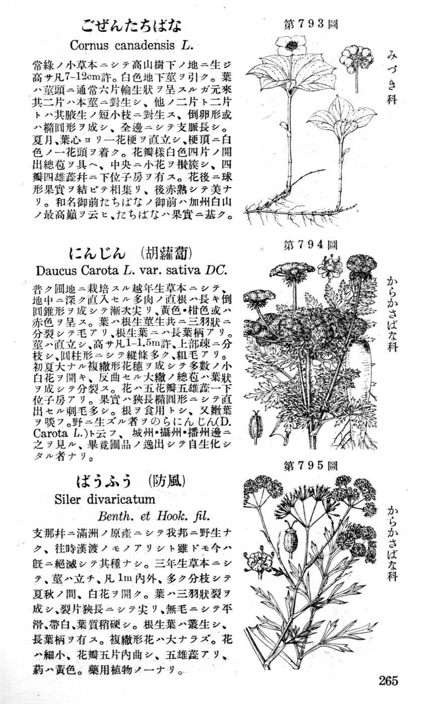 植物図鑑