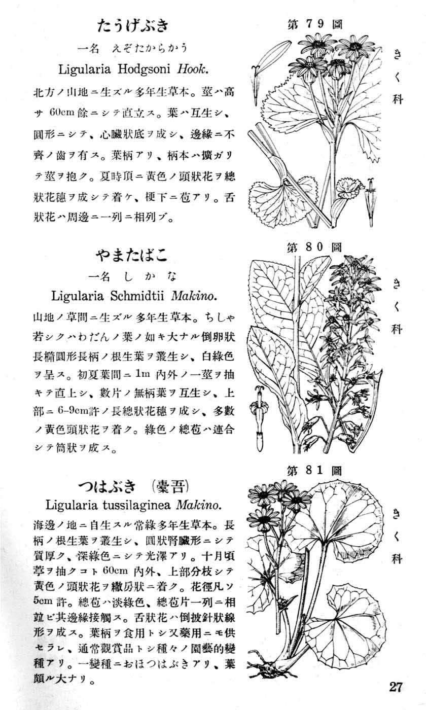 植物図鑑