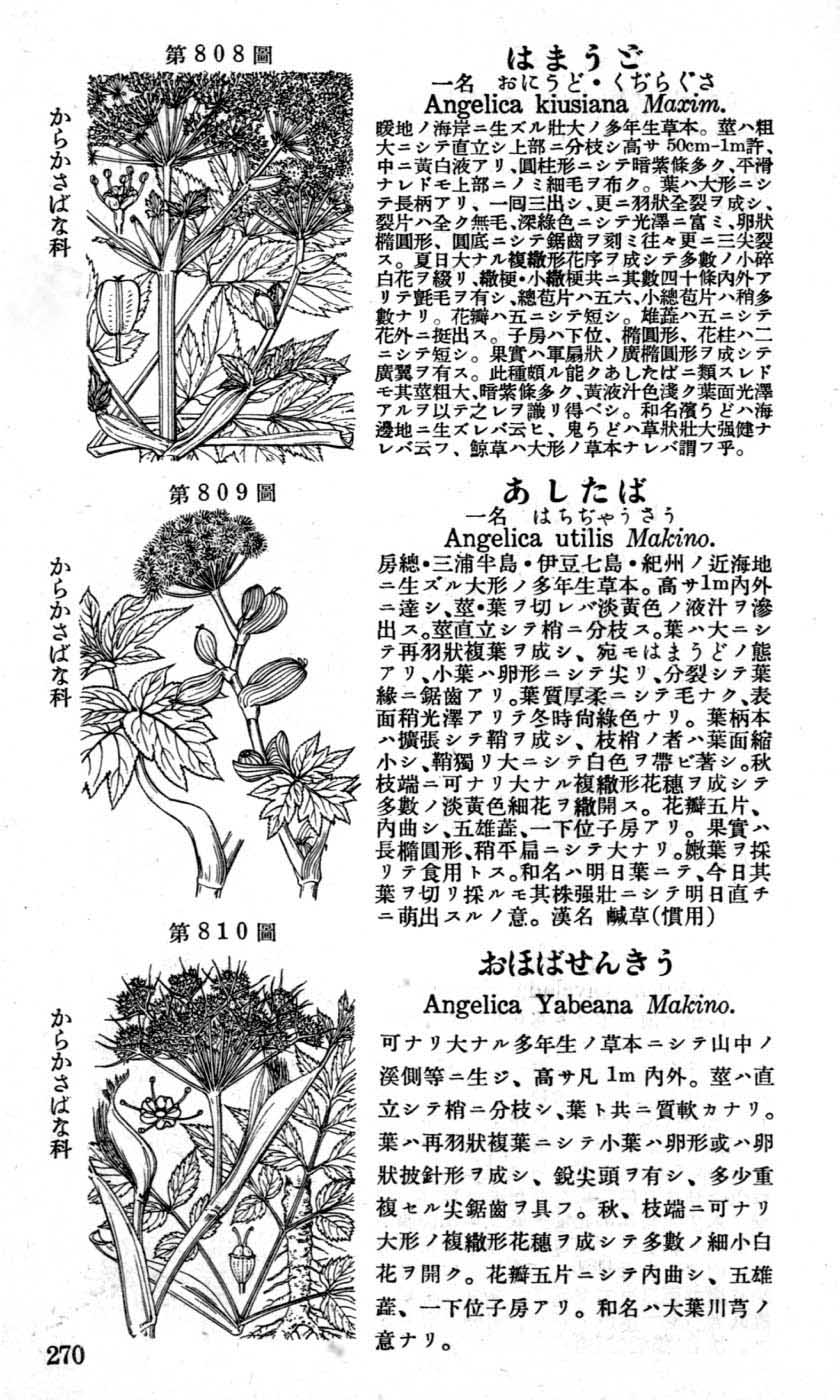 植物図鑑