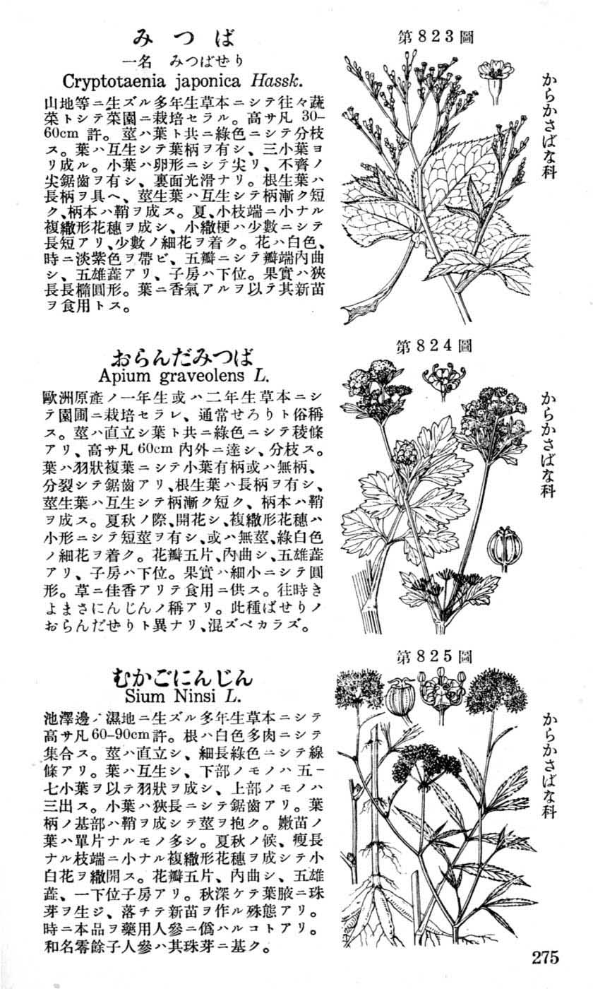 植物図鑑