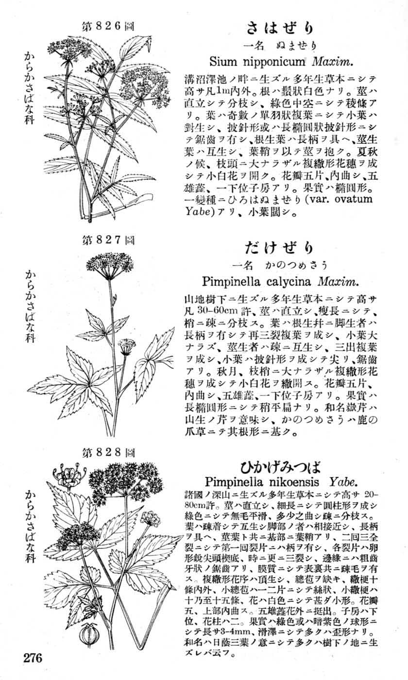 植物図鑑