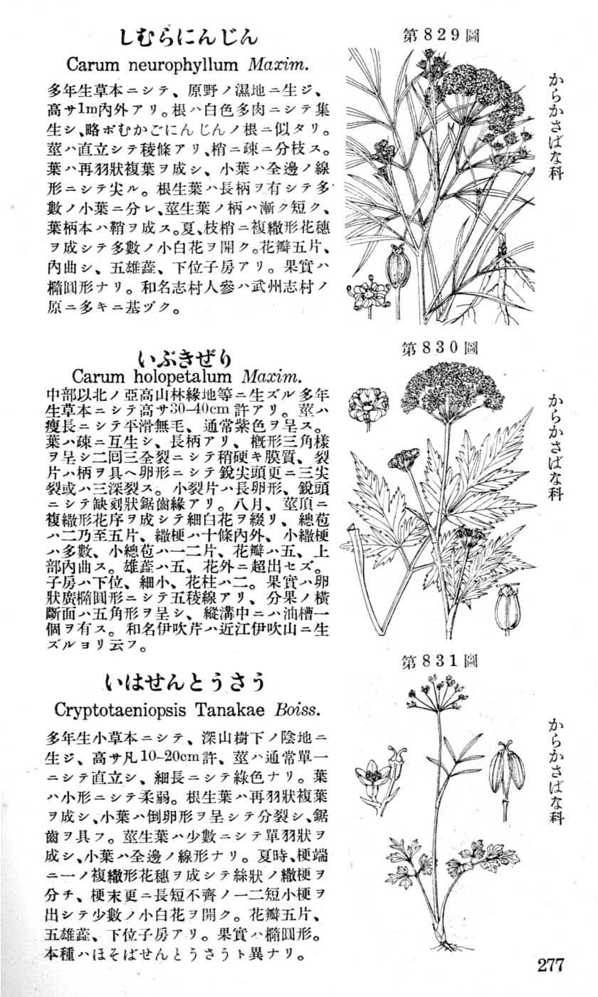 植物図鑑