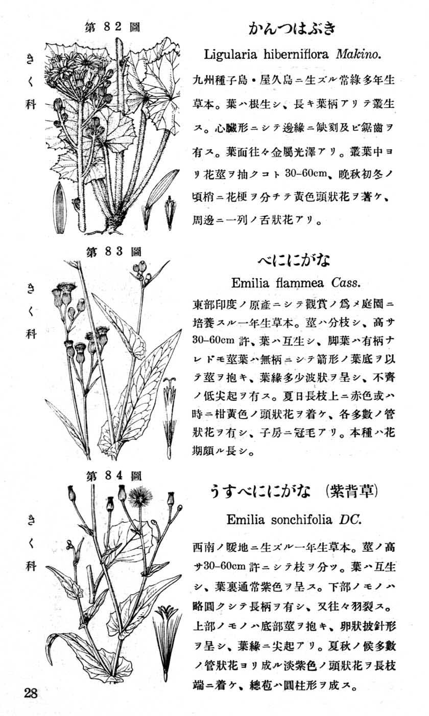 植物図鑑