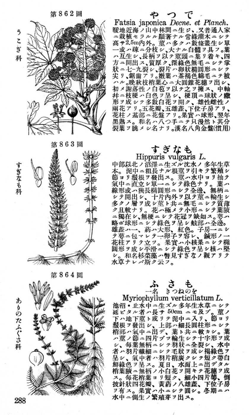 植物図鑑