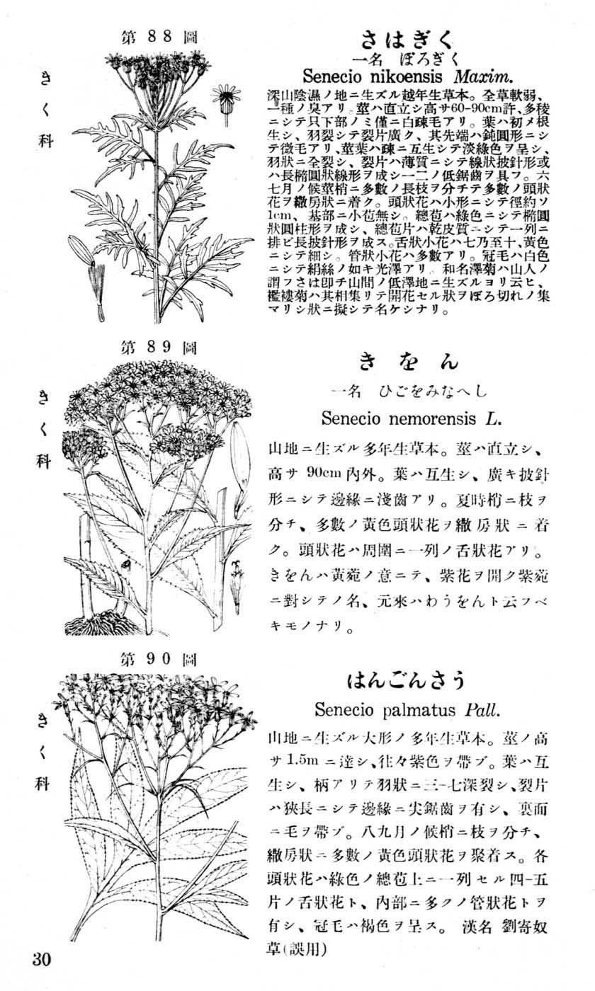 植物図鑑