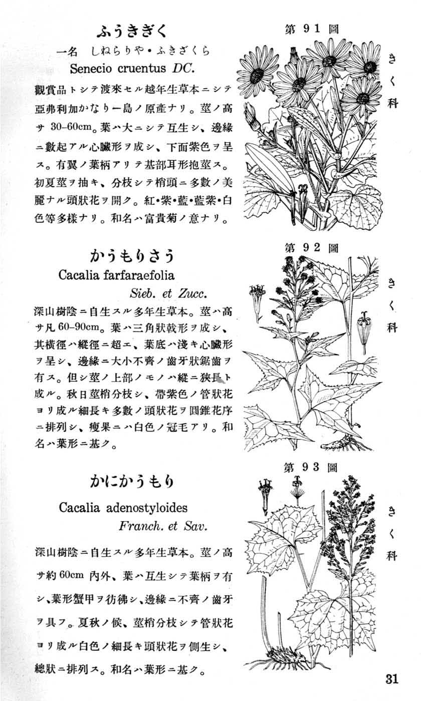 植物図鑑