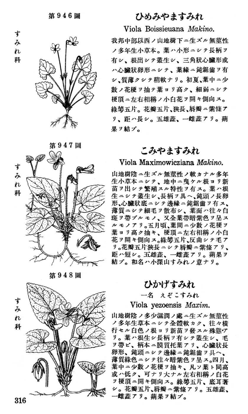 植物図鑑